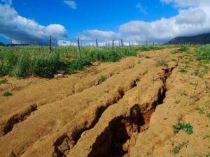 Soil Erosion – Causes and Prevention