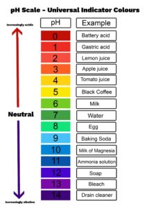 pH scale with some common examples
