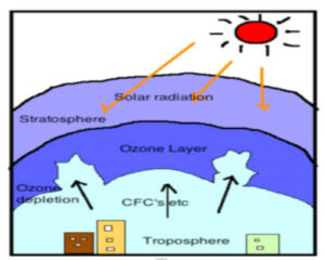 Chlorofluorocarbons and Ozone Depletion